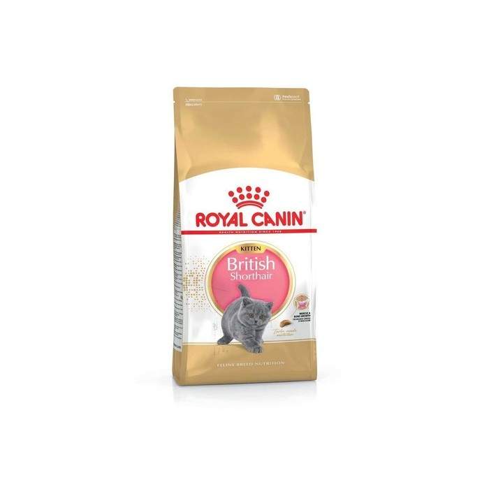 Royal Canin British Shorthair Kitten sausas maistas Britų trumpaplaukių veislės kačiukams, 10 kg Royal Canin - 1