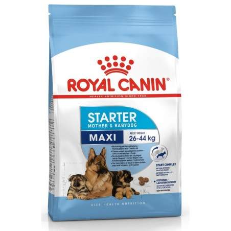 Royal Canin Maxi Starter Mother and Babydog sausā barība grūsnām un barojošām mātītēm un lielo šķirņu kucēniem, 15 kg Royal Cani