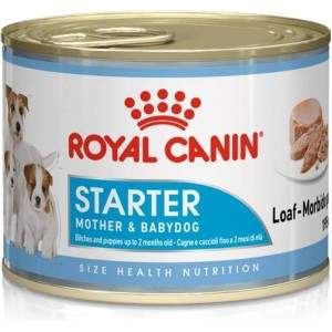 Royal Canin Starter Mousse konservai šunims, 200g