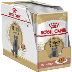 Royal Canin British Shorthair konservai katėms, 12x85 g