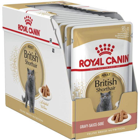 Royal Canin British Shorthair drėgnas maistas Britų trumpaplaukėms katėms, 85 g Royal Canin - 1
