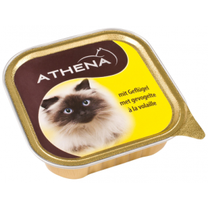 Athena cat canned poultry 100g x 20 pcs. package Athena - 1