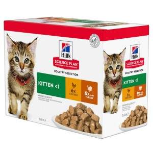 Hill's Science Plan Kitten ėdalas kačiukams su kalakutiena / vištiena, 12 x 85 g