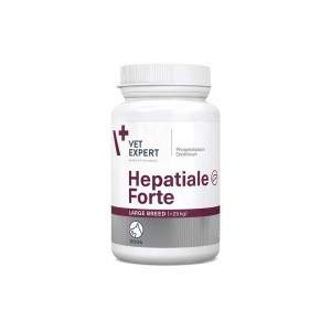 Hepatiale Forte didžiųjų veislių šunims ,40 tablečių