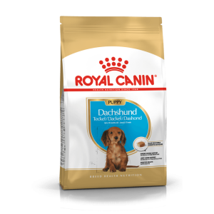 Royal Canin taksų veislės šunims Junior, 1,5 kg