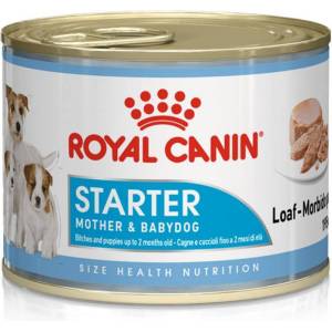 Royal Canin Starter Mother...