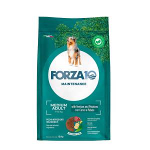 Forza 10 Maintenance Medium...