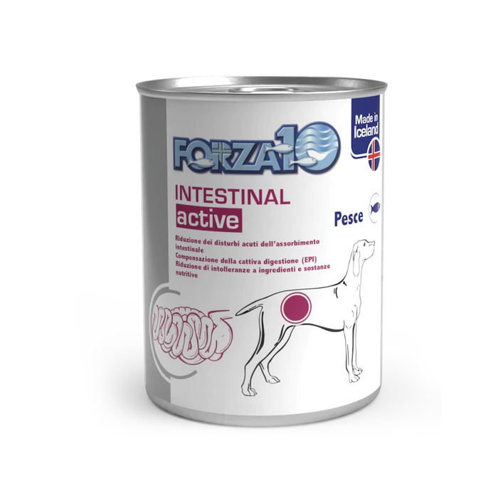 Forza 10 Intestinal ActiWet wet food for dogs with digestive disorders, 390 g