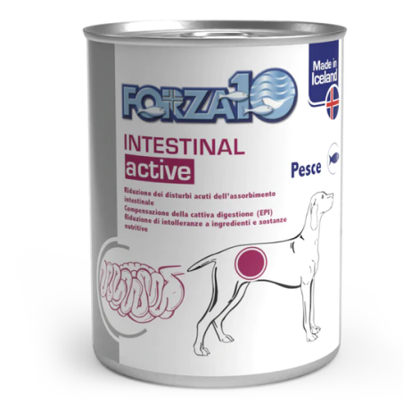 Forza 10 Intestinal ActiWet wet food for dogs with digestive disorders, 390 g