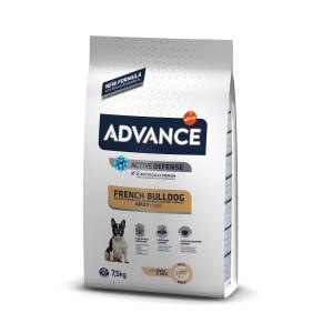 Advance French Bulldog...