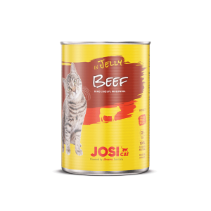 JosiCat Beef in Jelly...