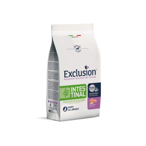Exclusion Intestinal...