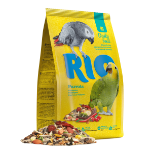 RIO päiväruoka...