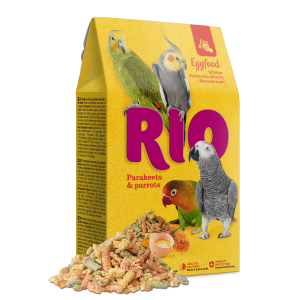 RIO kiaušinių lesalas...