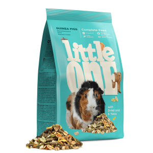 Little one feed for guinea...