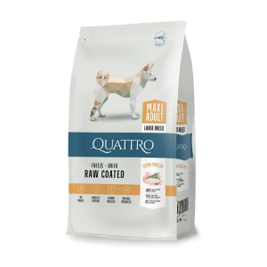 Quattro Maxi Adult...