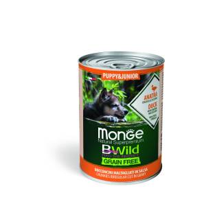 Monge BWILD Dog...