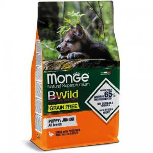Monge BWILD Best For...