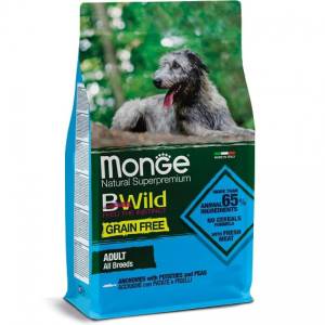 Monge BWILD Best For...