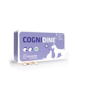 OPKO Cognidine supplements...