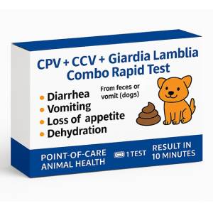MediEra CPV + CCV +...