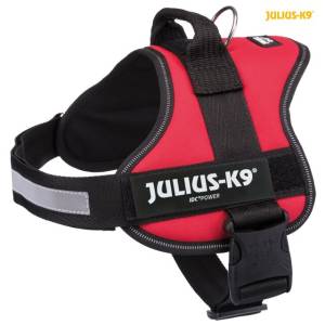 Trixie Julius K-9 valjaat…