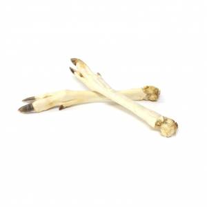Real Dog deer legs, 5 pcs.