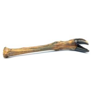 Real Dog deer legs, 2 pcs.