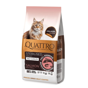 Quattro visavertis sausas...