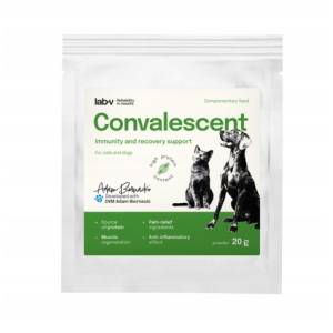 Lab-V Convalescent koiran...