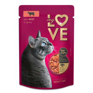 MY LOVE visavertis...