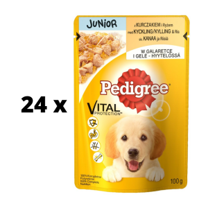 Šunų ėdalas PEDIGREE Junior, su vištiena, maišeliuose, 100 g  x  24 vnt. pakuotė