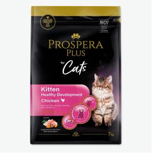 Kitten food – Prospera Plus...