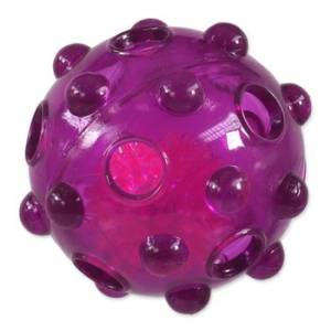 Dog toy - Placek Dog...