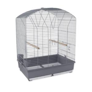 Bird cage – Placek Cage...