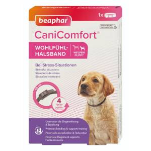 Calming product for puppies...