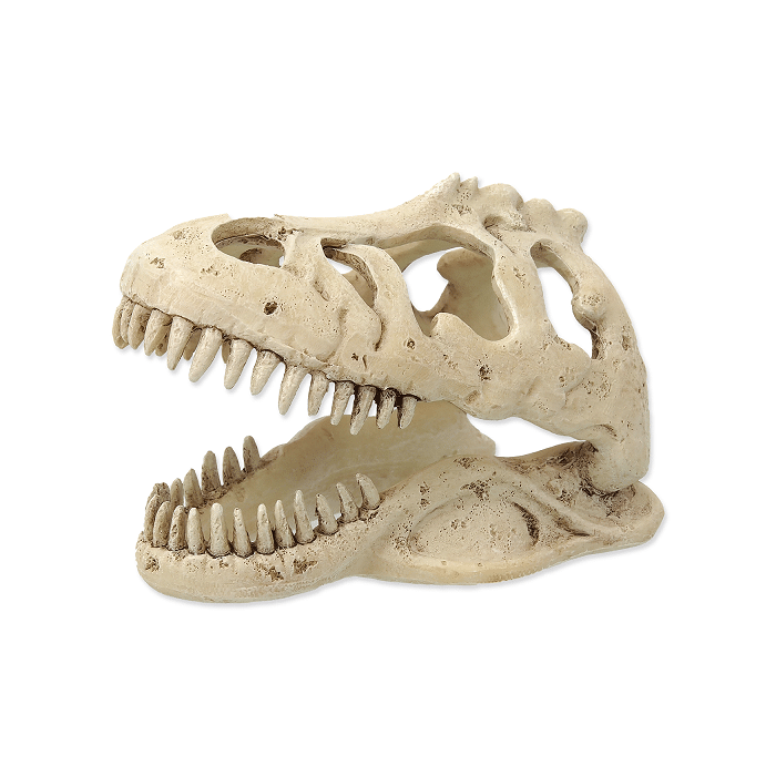 Dekors terārijam : Repti Planet T:REX skull 13,3x8,5x9cm