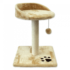 Mājiņa kaķiem : Magic Cat…