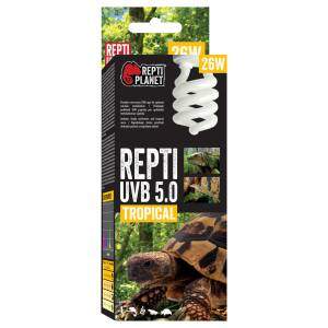 Terraariumi lambipirn: Repti…