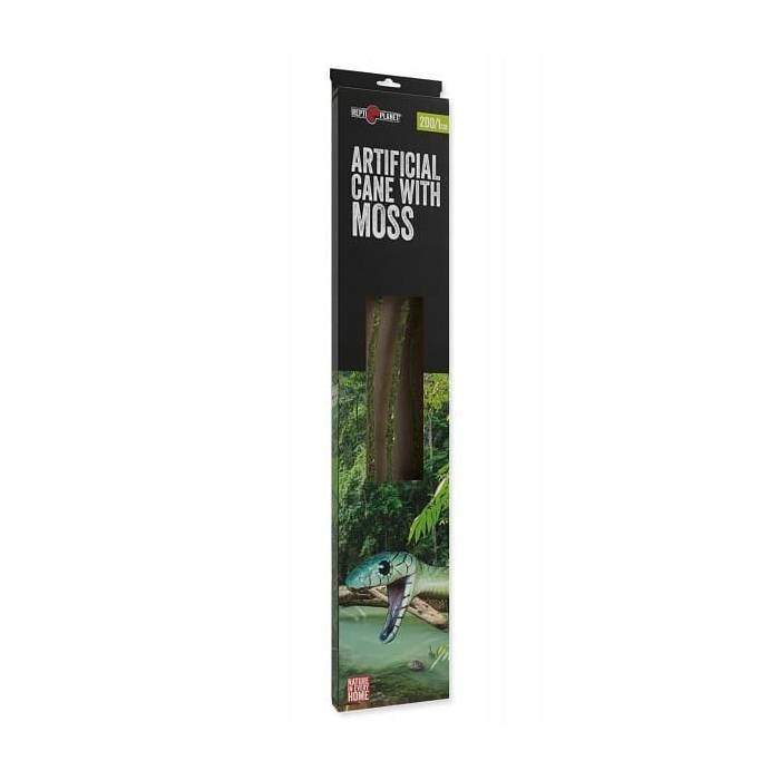 Dekors terārijam  : Repti Planet Artificial moss liana with natural look 200/1cm: mākslīgais vīnogulājs