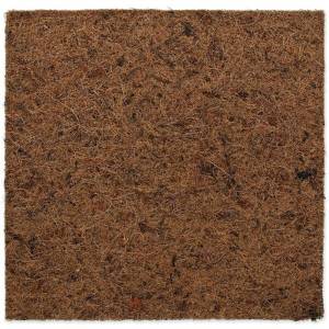 Terraariumi taust: Repti...
