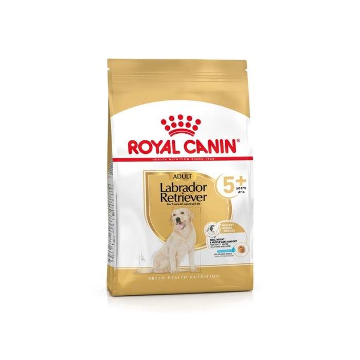 Royal Canin Labrador Retriever Adult 5+ dry food for older Labrador Retriever Dogs, 12kg Royal Canin - 1