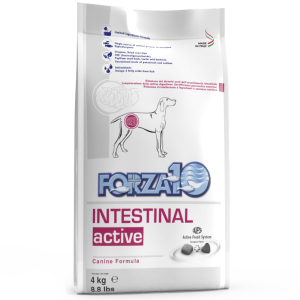 Forza10 Intestinal Active sausas maistas šunims, sergantiems virškinamojo trakto ligomis, 4 kg Forza10 - 1