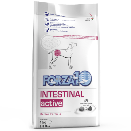 Forza10 Intestinal Active sausas maistas šunims, sergantiems virškinamojo trakto ligomis, 4 kg Forza10 - 1