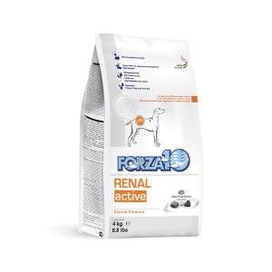 Forza10 Renal Active sausā barība suņiem ar hroniskām un akūtām nieru slimībām, 4 kg Forza10 - 1
