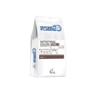 Forza10 Intestinal Colon Fase 1 dry food for dogs with digestive tract diseases, 4 kg Forza10 - 1