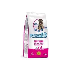 Forza10 Puppy Junior Fish M/L sausas maistas vidutinių ir didelių veislių šuniukams, 15 kg Forza10 - 1