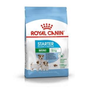 Royal Canin Mini Starter Mother and Babydog sausas maistas nėščioms ir maitinančioms patelėms ir mažų veislių šuniukams, 1 kg Ro