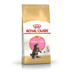 Royal Canin Maine Coon Kitten Dry Food for Maine Bear Bred to Kittens, 2 kg Royal Canin - 1