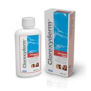 I.C.F. Clorexderm Shampoo Forte 2% valantis šampūnas naudojamas esant piodermai, 200 ml I.C.F. S.R.L. - 1